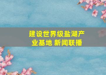 建设世界级盐湖产业基地 新闻联播